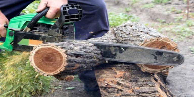 How to Cut Wood Slices with Chainsaw? - Best Gear House