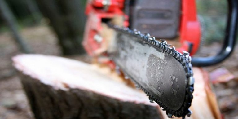 How to Tighten the Chainsaw Chain? Best Gear House