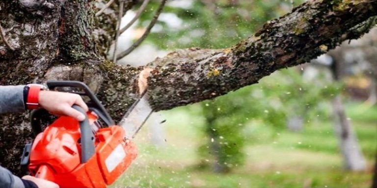 5-best-chainsaw-for-cutting-trees-reviews-advice-in-2021-best-gear