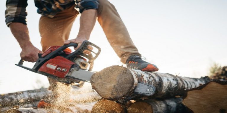 6 Best Arborist Chainsaw Reviews & Buying Guide In 2021 - Best Gear House